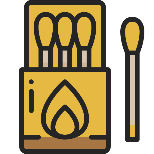 Matches and fireworks industry