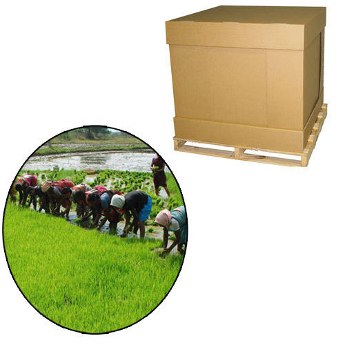 Ply Corrugated Box